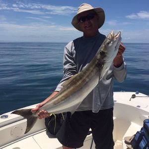 Meet your Posher, Tim